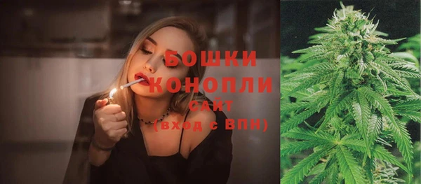 мяу мяу мука Белокуриха