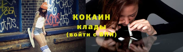 индика Беломорск