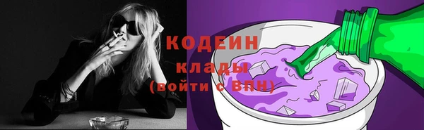 индика Беломорск