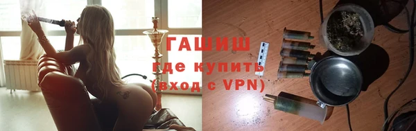индика Беломорск