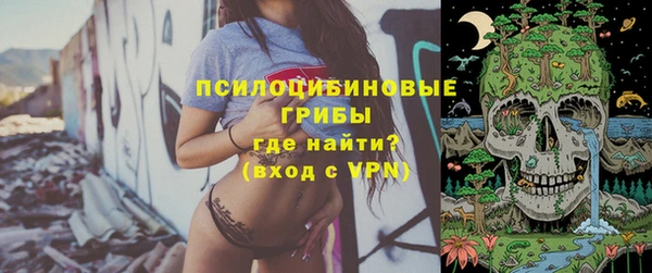 мяу мяу мука Белокуриха