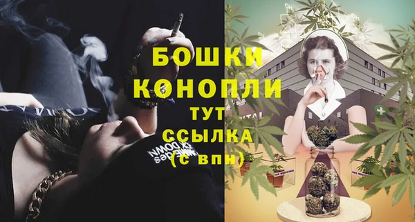 мяу мяу мука Белокуриха