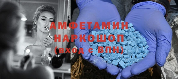 индика Беломорск
