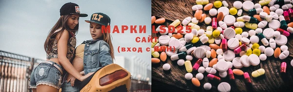 индика Беломорск