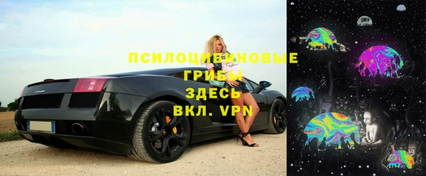 мяу мяу мука Белокуриха