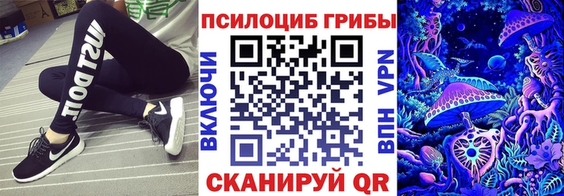дарнет шоп  Вяземский  Псилоцибиновые грибы Magic Shrooms 